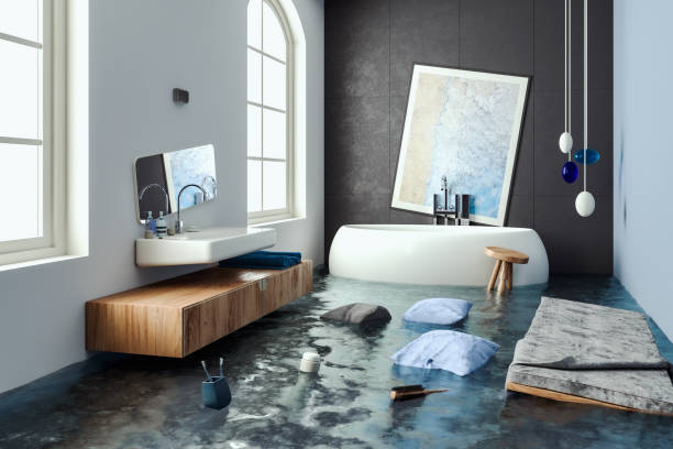 Best Mold removal after water damage  in Burlington, VT