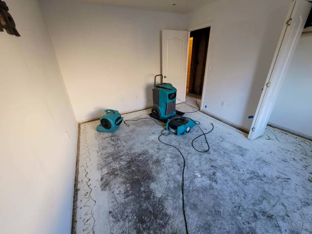 Best Commercial water damage restoration  in Burlington, VT