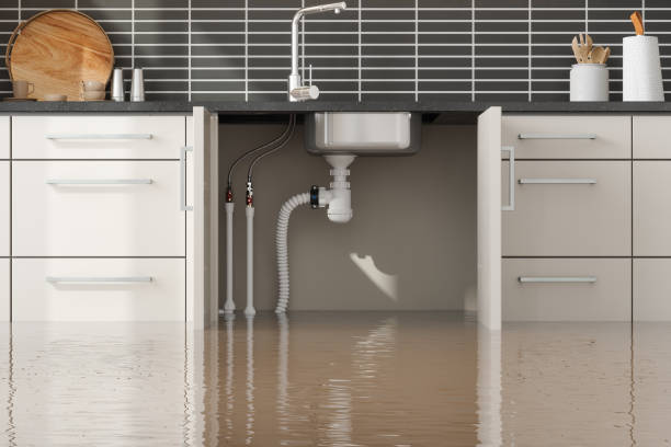 Best Carpet water damage restoration  in Burlington, VT