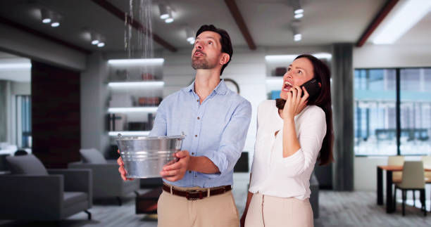 Best Basement water damage restoration  in Burlington, VT
